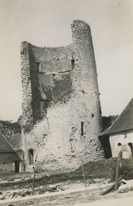 Château du Châtelier : Donjon, vue générale