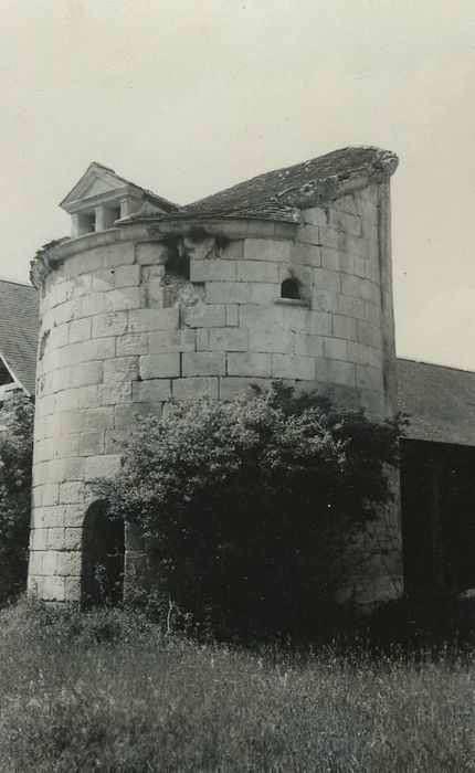 Manoir de Ré (ou Ray) : Fuye, vue générale