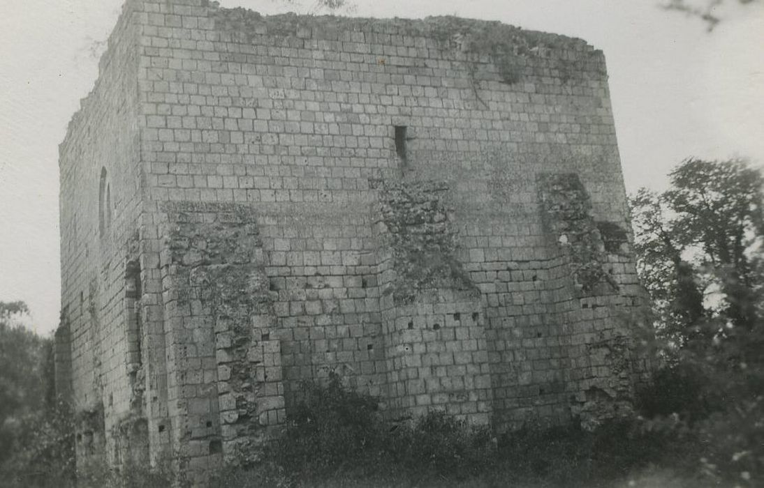 Vestiges du château : Vue générale des ruines