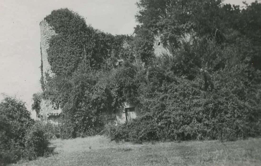 Vestiges du château : Vue partielle des ruines