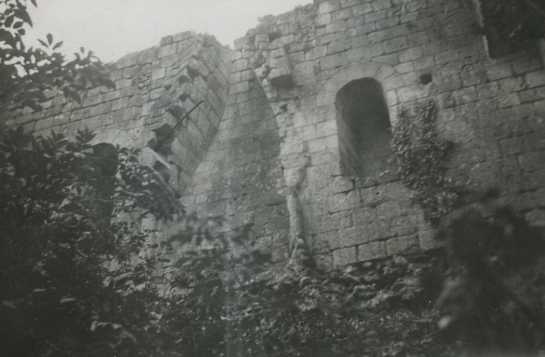 Vestiges du château : Vue partielle des ruines