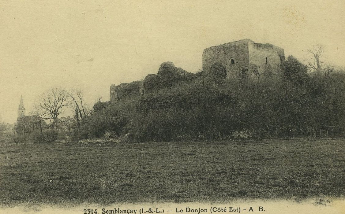 Vestiges du château : Vue générale des ruines dans leur environnement