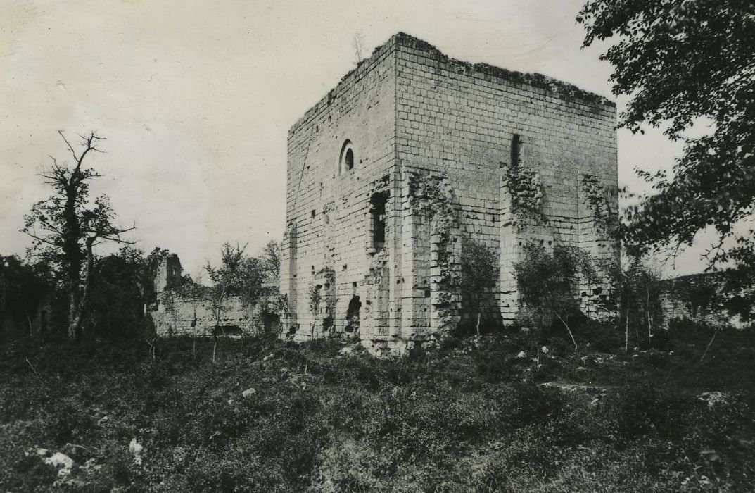 Vestiges du château : Vue générale des ruines