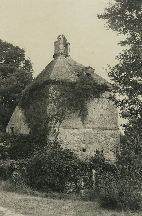 Restes de l'ancien château du Grand Launay : Fuye, vue générale