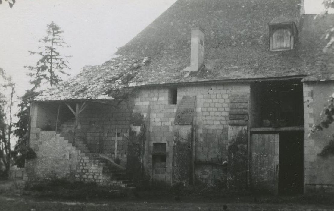 Abbaye : Cellier (?), vue générale