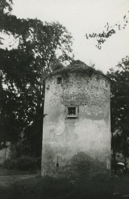 Château : Pigeonnier, vue générale