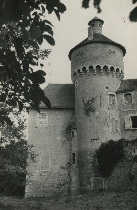 Château : Donjon, face sud, vue générale