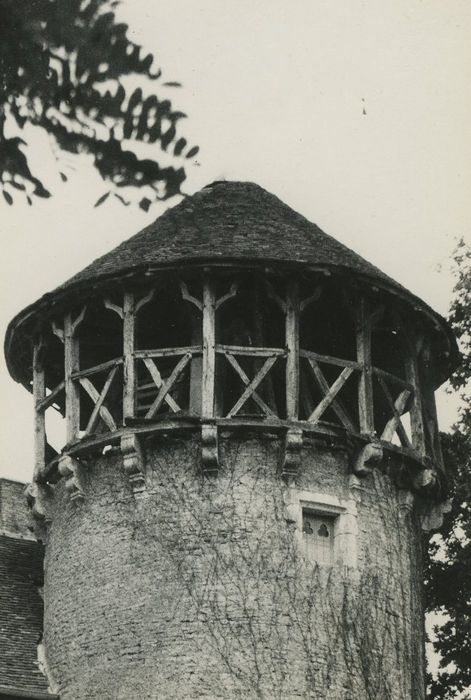 Château : Tour nord-est, vue partielle