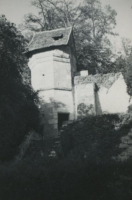 Domaine du Manoir de Paradis : Vue partielle des ruines de l’ancien manoir