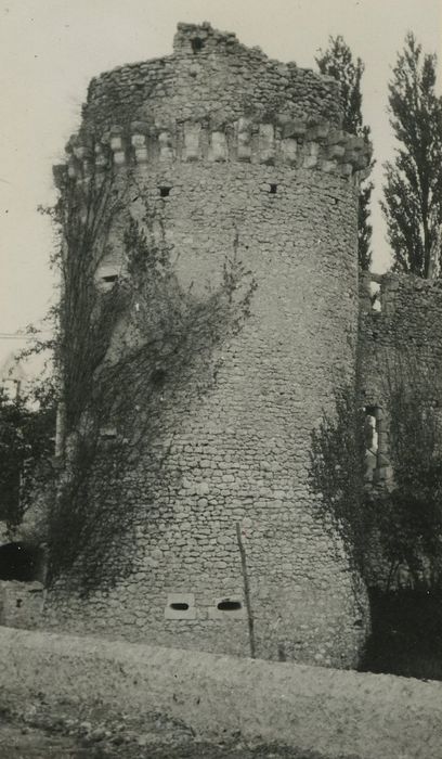 Ruines du château de Fontenay-Isoré : Tour nord-ouest, vue générale