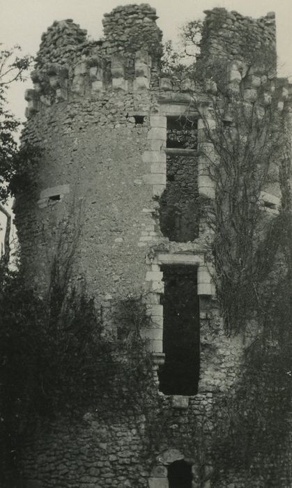 Ruines du château de Fontenay-Isoré : Tour nord-ouest, vue partielle