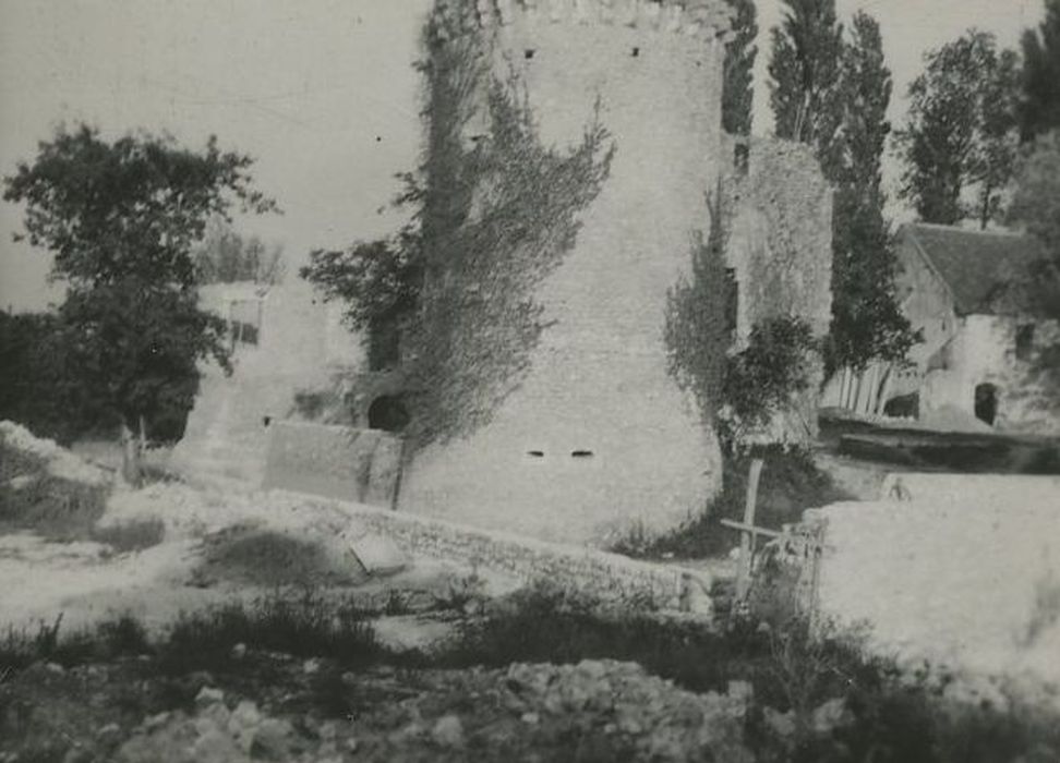 Ruines du château de Fontenay-Isoré : Ensemble nord-ouest, vue générale