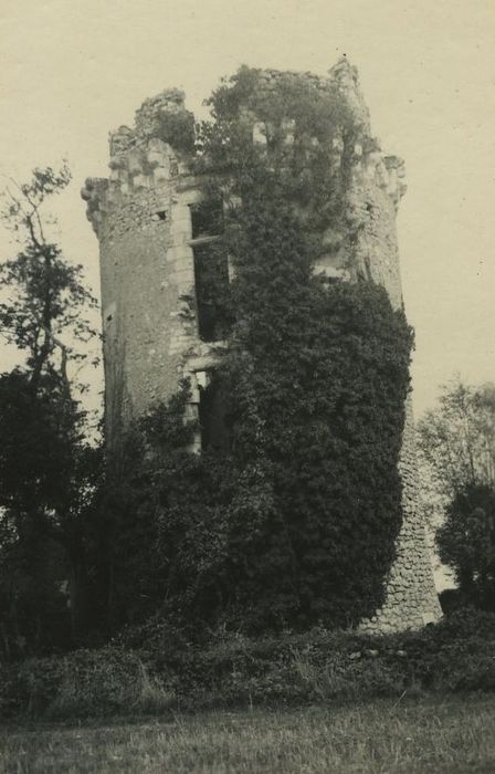 Ruines du château de Fontenay-Isoré : Tour nord-ouest, vue générale