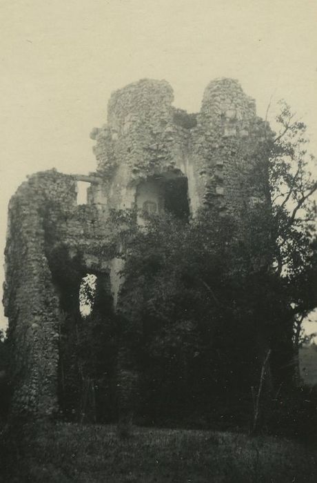 Ruines du château de Fontenay-Isoré : Tour nord-ouest, vue générale