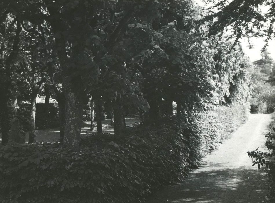 Manoir de La Bachellerie : Jardin de charmille, vue partielle