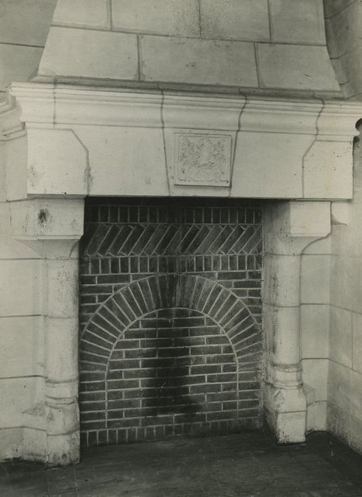 Château de Saint-Germain : Cheminée, vue générale