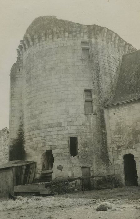 Château de la Tour-du-Raynier : Donjon, élévation nord, vue générale