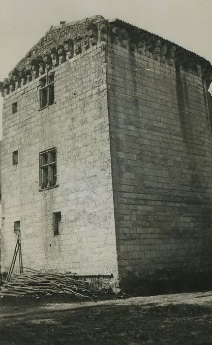 Château de la Tour-du-Raynier : Donjon, façades sud et est, vue générale