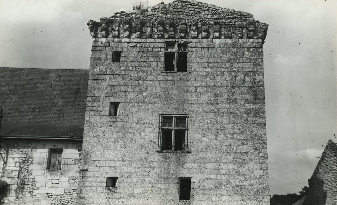 Château de la Tour-du-Raynier : Donjon, façade sud-ouest, vue partielle