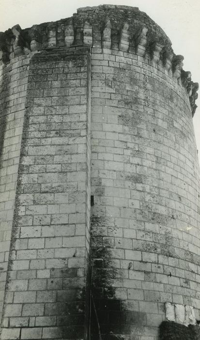 Château de la Tour-du-Raynier : Donjon, vue partielle