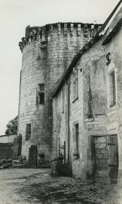 Château de la Tour-du-Raynier : Donjon, élévation nord, vue générale