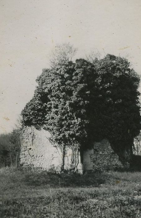 Abbaye de Gastines : Ruines de l’absidiole sud, vue générale