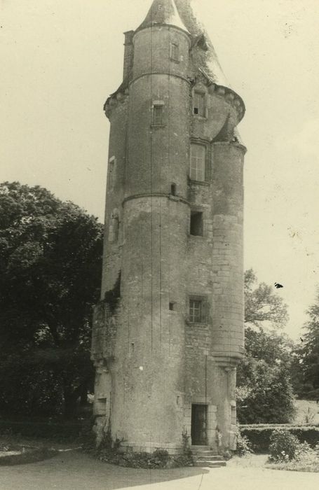 Château de Tracy : Donjon, vue générale