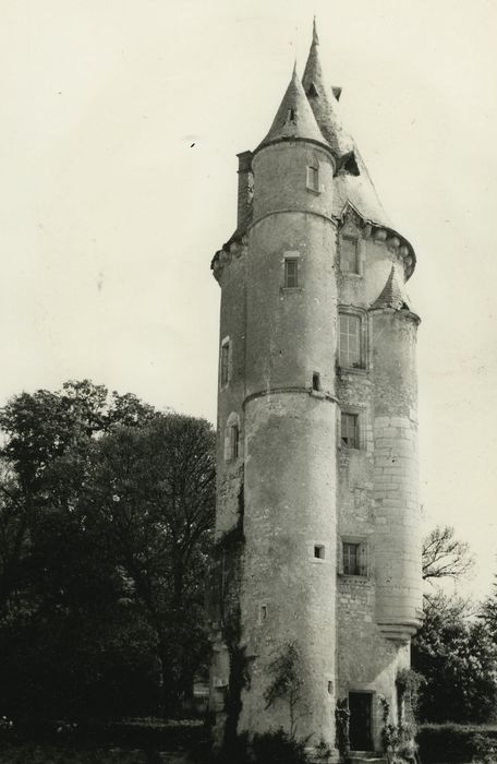 Château de Tracy : Donjon, vue générale