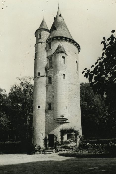 Château de Tracy : Donjon, vue générale