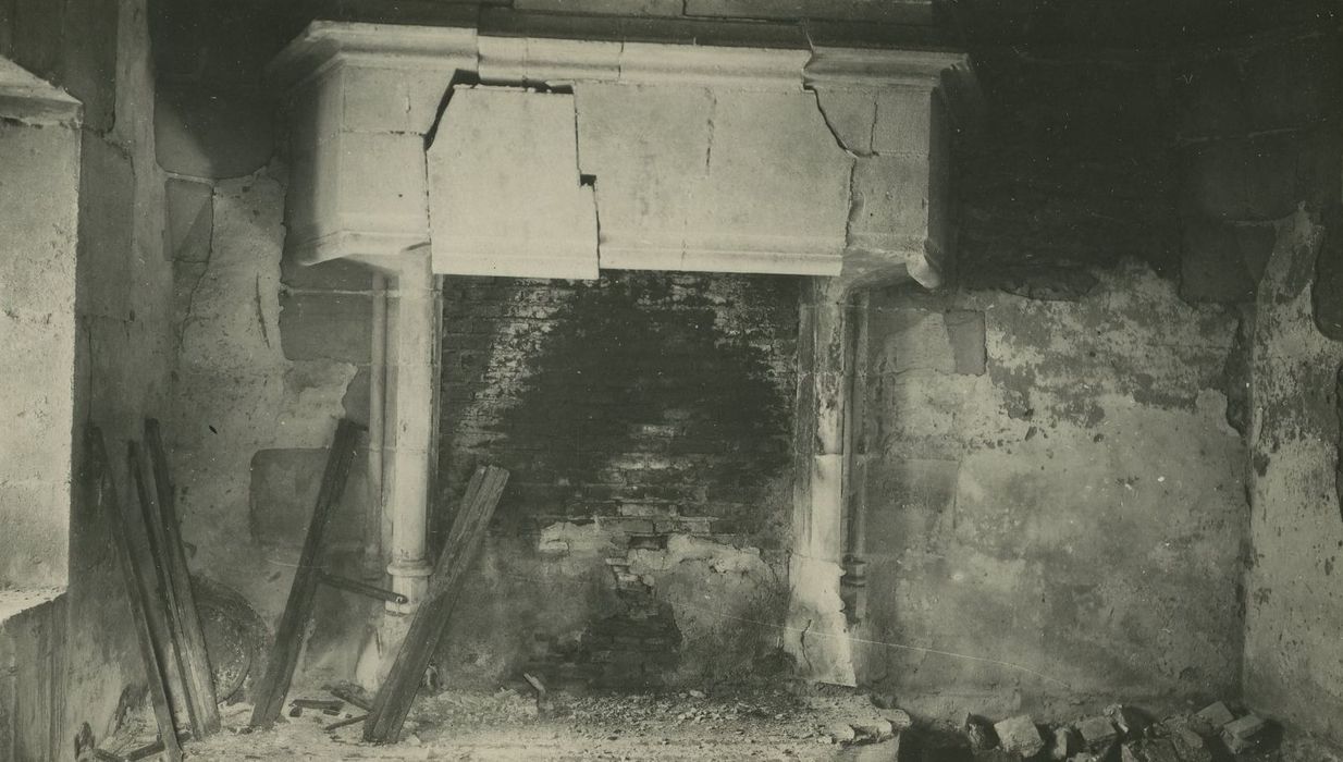 Château des Bordes : Tour sud, cheminée monumentale, vue générale