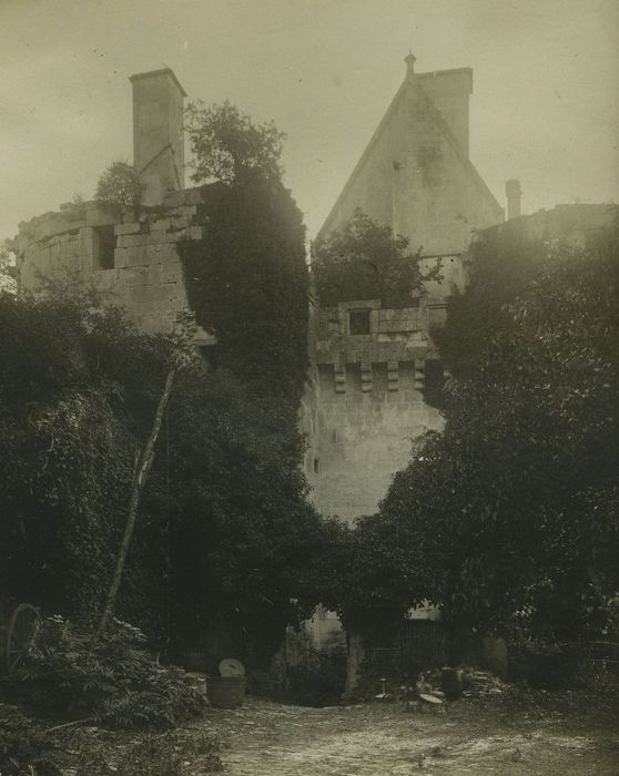 Château de Rochefort (vestiges) : Vue partielle des ruines