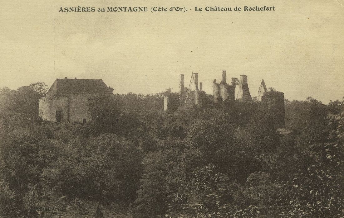 Château de Rochefort (vestiges) : Vue générale des ruines dans son environnement depuis le Nord