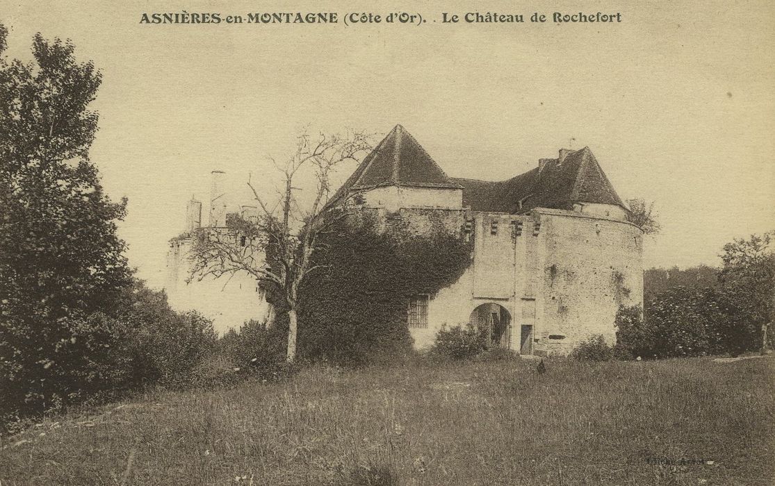 Château de Rochefort (vestiges) : Vue générale des ruines dans son environnement depuis l’Est