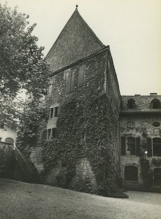 Château de Beauregard : Donjon, façade est, vue générale