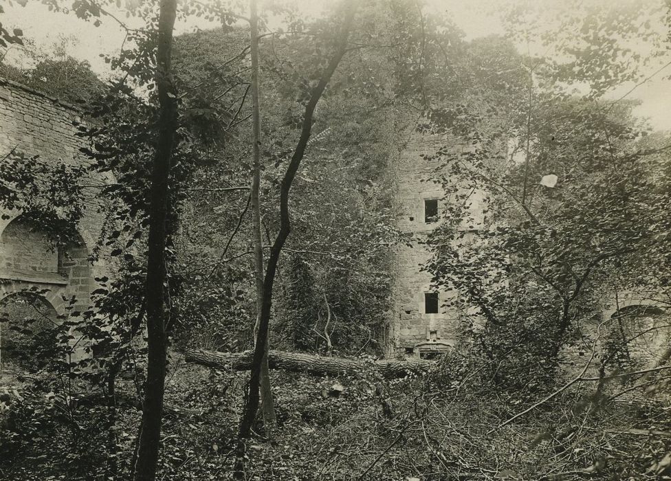 Château de Ledavrée (restes) : Vue partielle des ruines