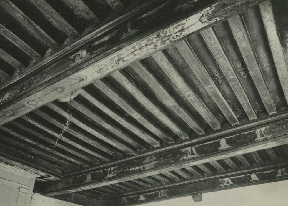 Manoir de Lezeu (ancien) : Plafond, vue partielle