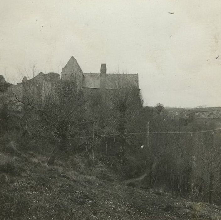 Château du Pressoir : Vue partielle des ruines dans leur environnement depuis le Nord