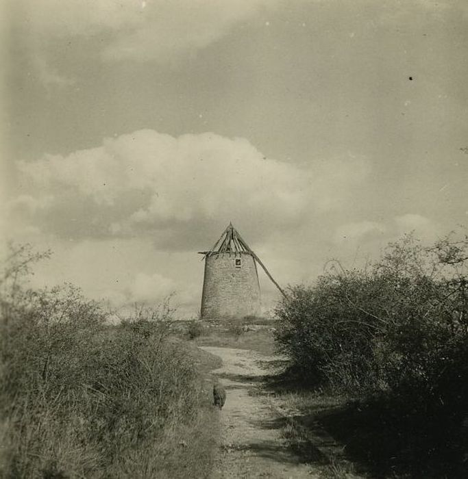 Moulin à vent de Charnailles : Vue générale du moulin dans son environnement