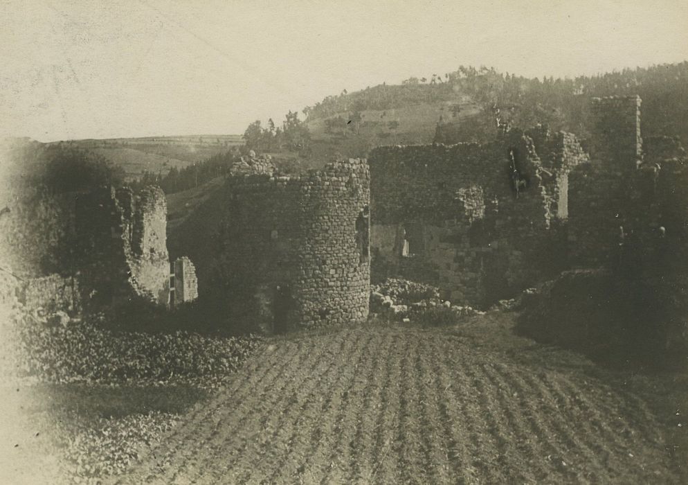 Restes du Château fort : Vue générale des ruines depuis le Sud