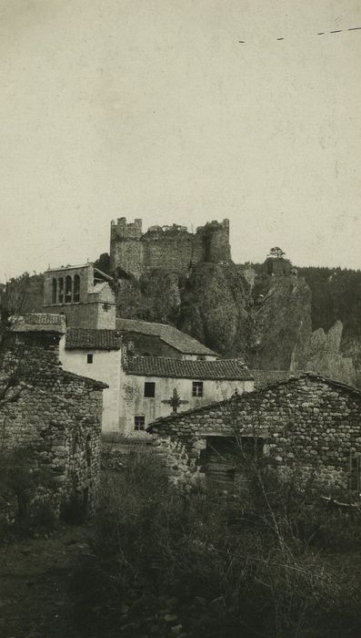 Restes du Château fort : Vue partielle des ruines dans leur environnement depuis le Sud-Ouest