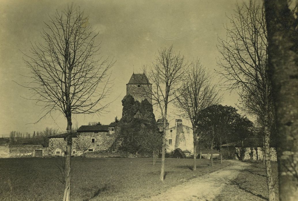 Château de Gendriac : Vue générale du château dans son environnement depuis l'Ouest