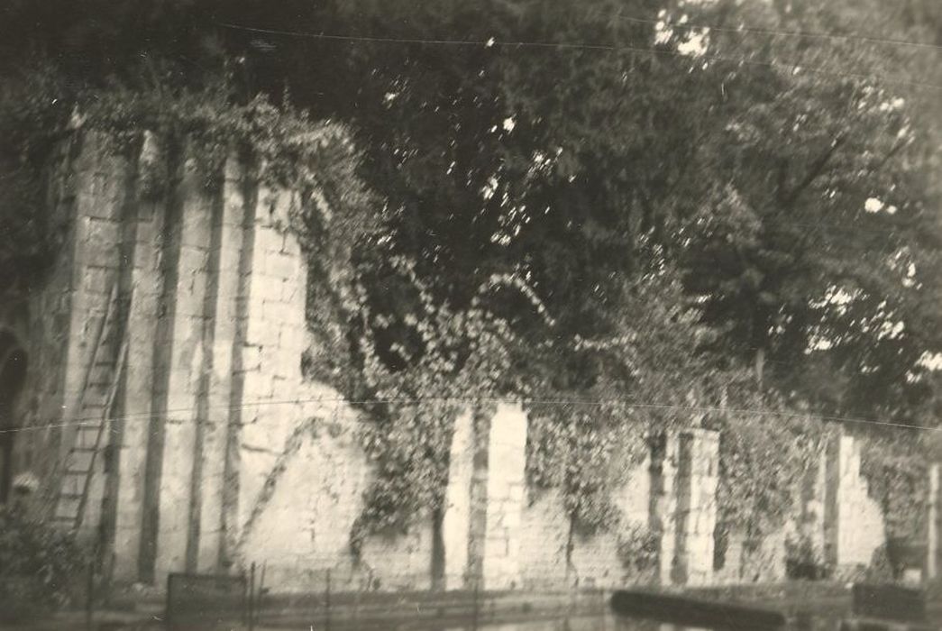 vue partielle des ruines de l’église abbatiale