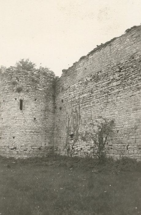 mur d’enceinte de l’abbaye, vue partielle