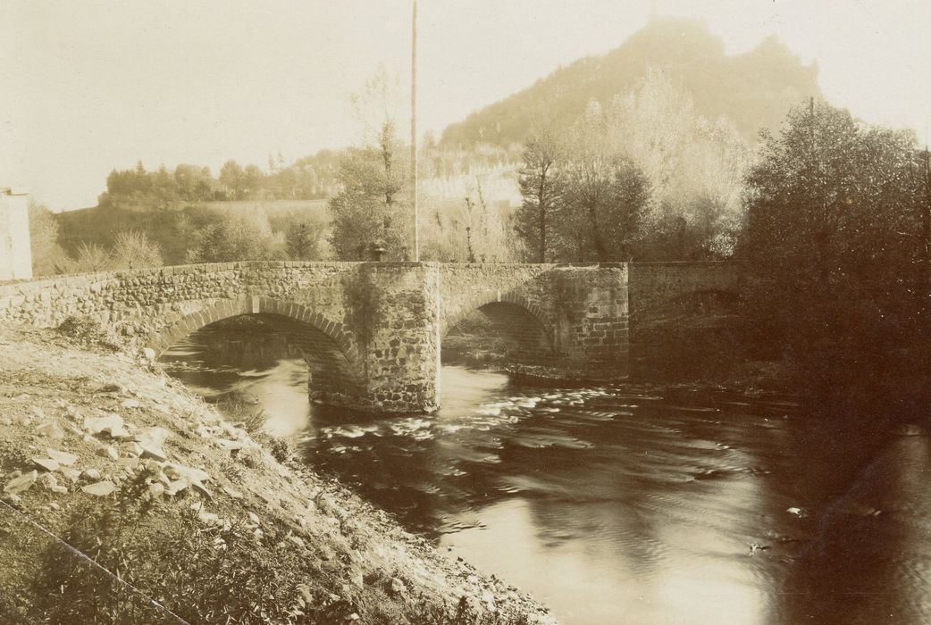 vue générale du pont dans son environnement depuis l’amont