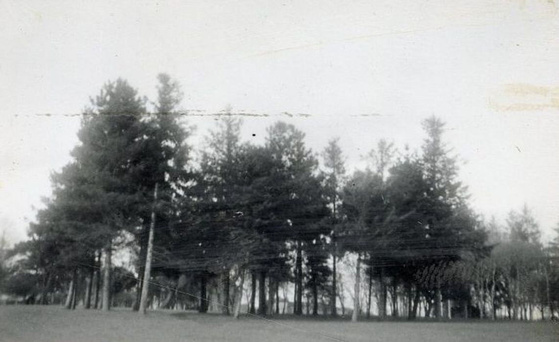 parc, vue générale