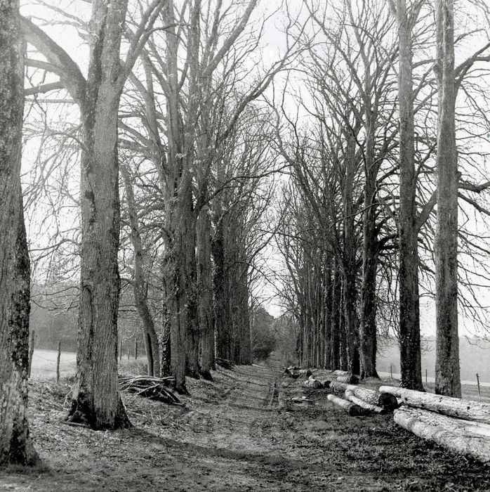 une des allées du parc