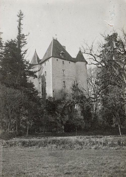 vue partielle du château dans son environnement depuis le Sud-Est