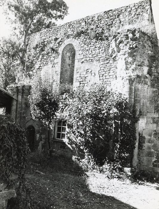 vestiges de l’ancien château, vue partielle