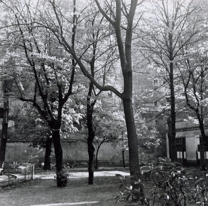 jardin, vue partielle