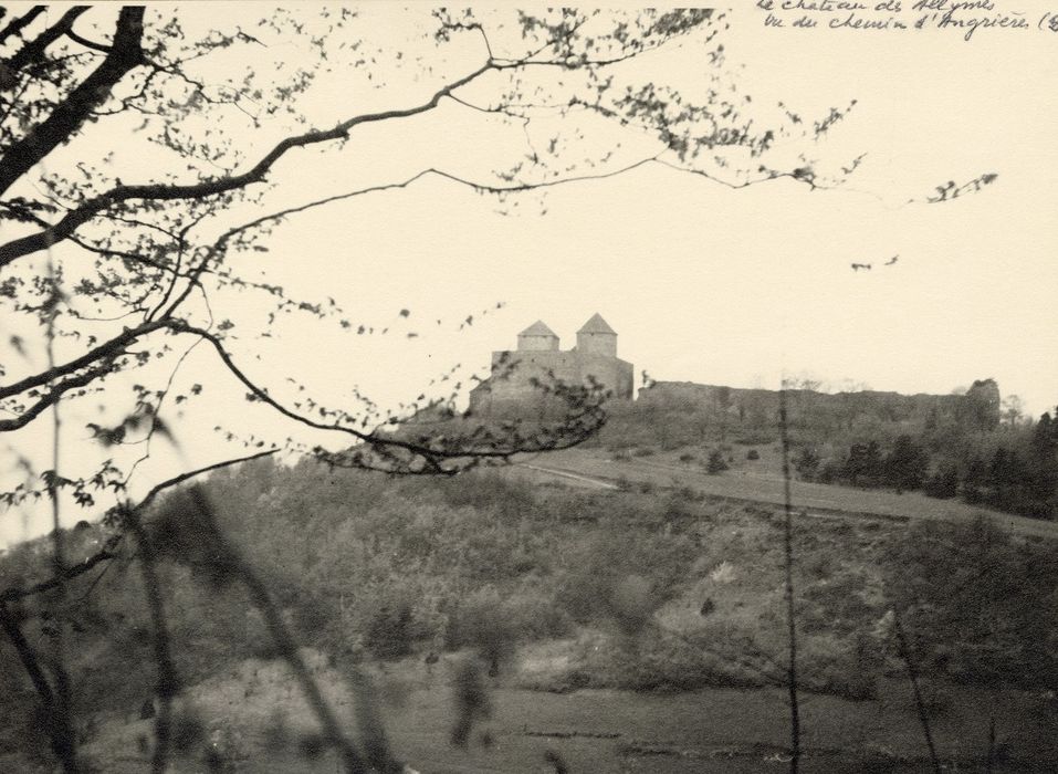 vue générale du château dans son environnement depuis le Sud